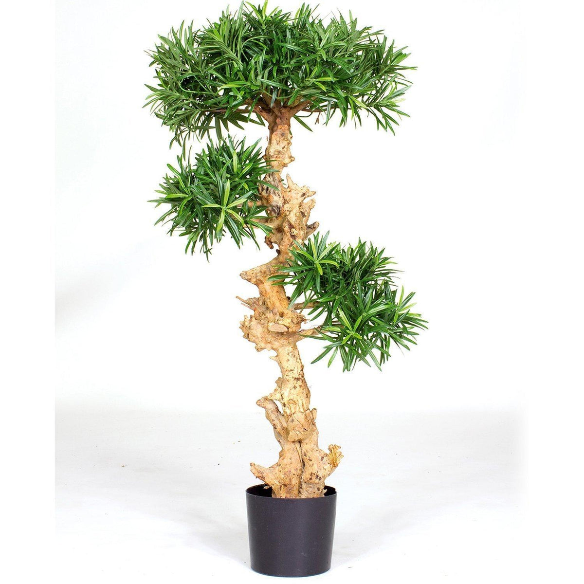 Kunstpflanze PODOCARPUS BONSAI, 120 cm