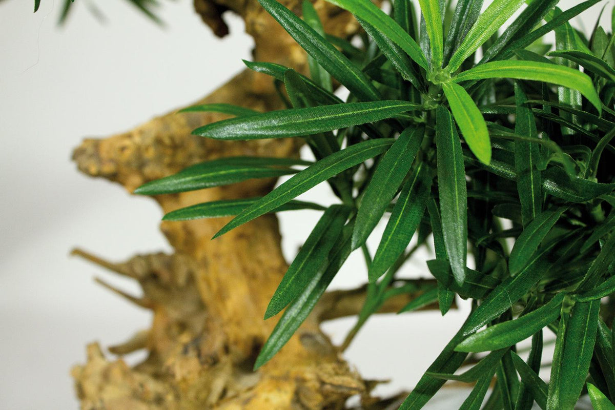 Kunstpflanze PODOCARPUS BONSAI, 120 cm