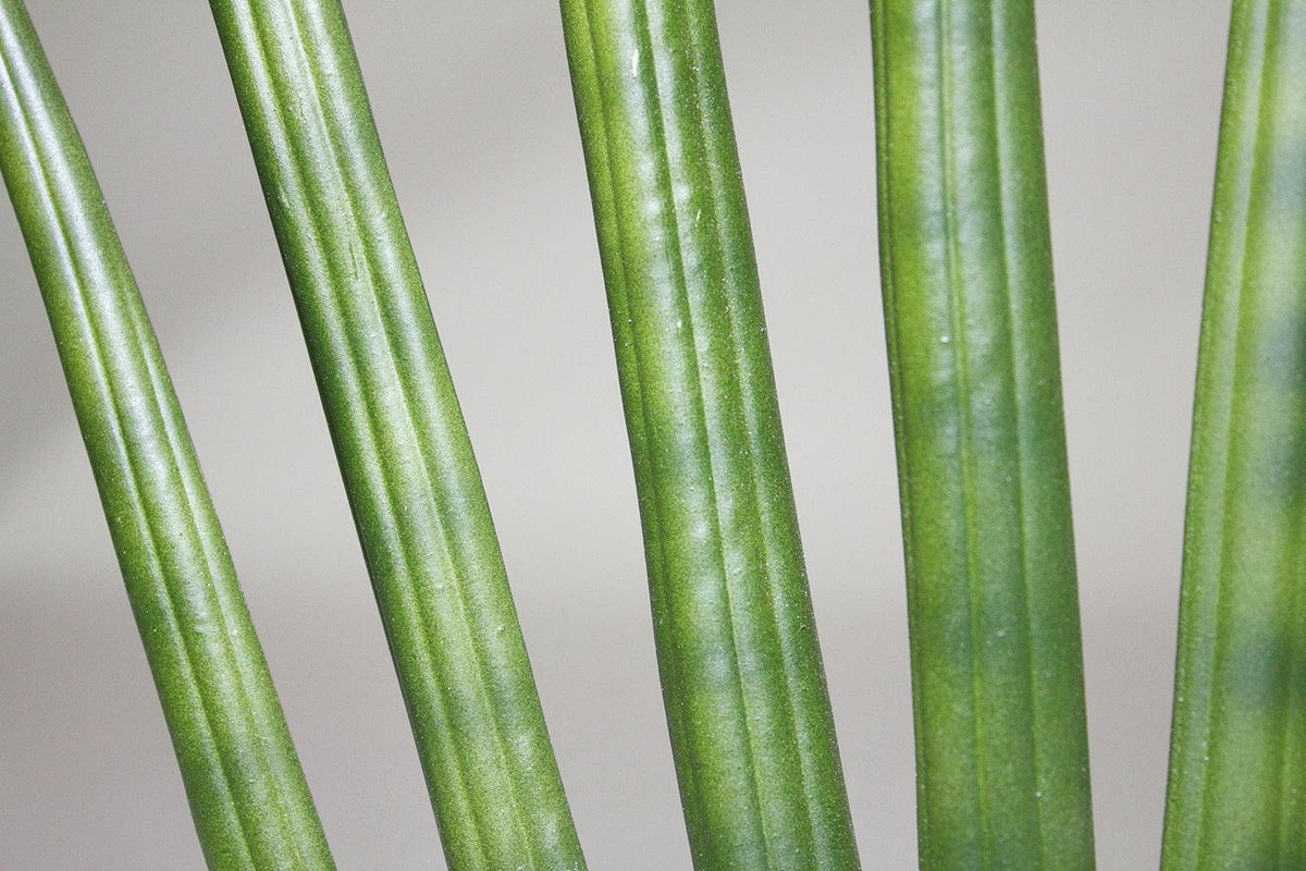 SANSEVIERIA CYLINDRICA Kunstpflanze, 80 cm – Kingplanters