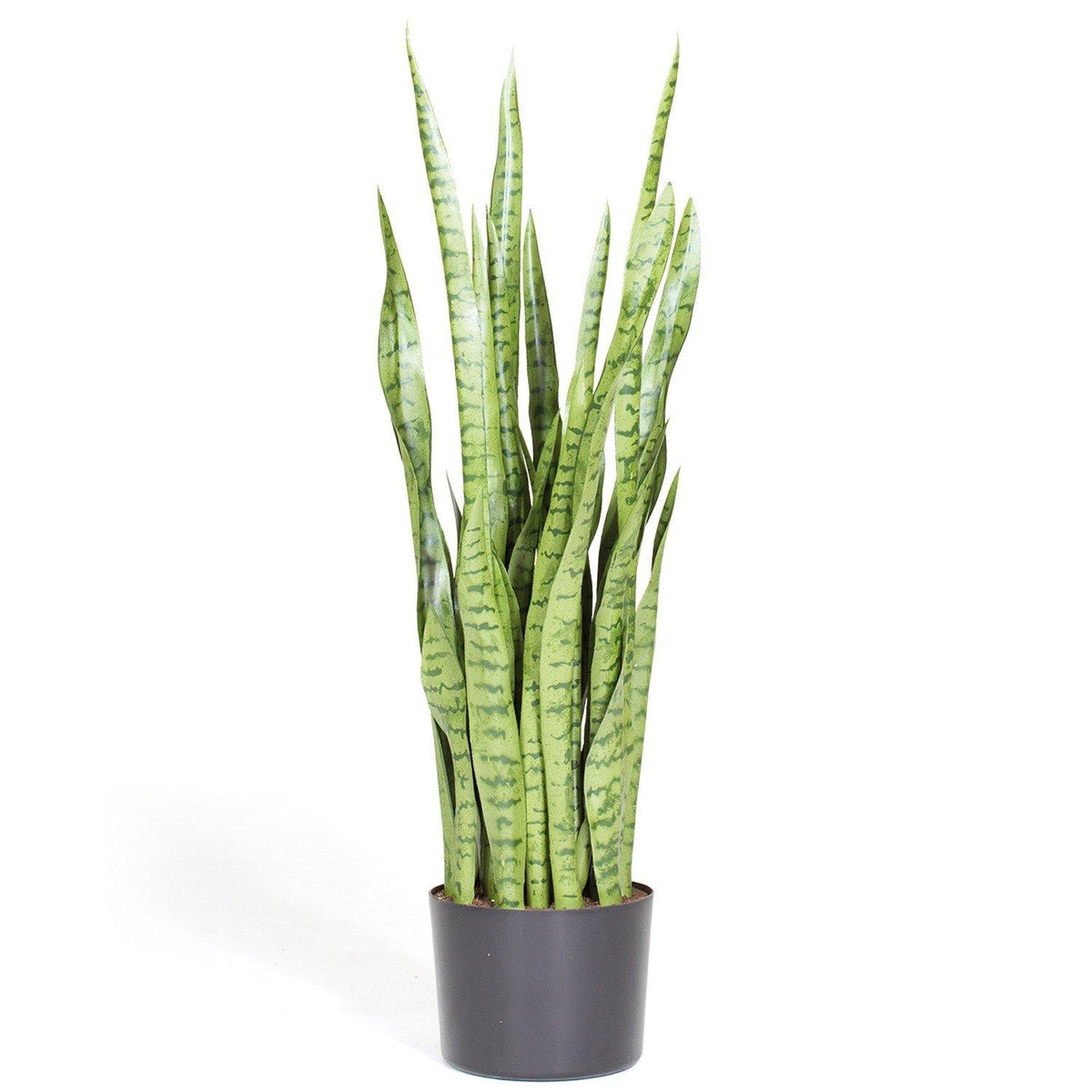 sansevieria cylindrica artificial SANSEVIERIA EXTRA artificial plant, 100 cm