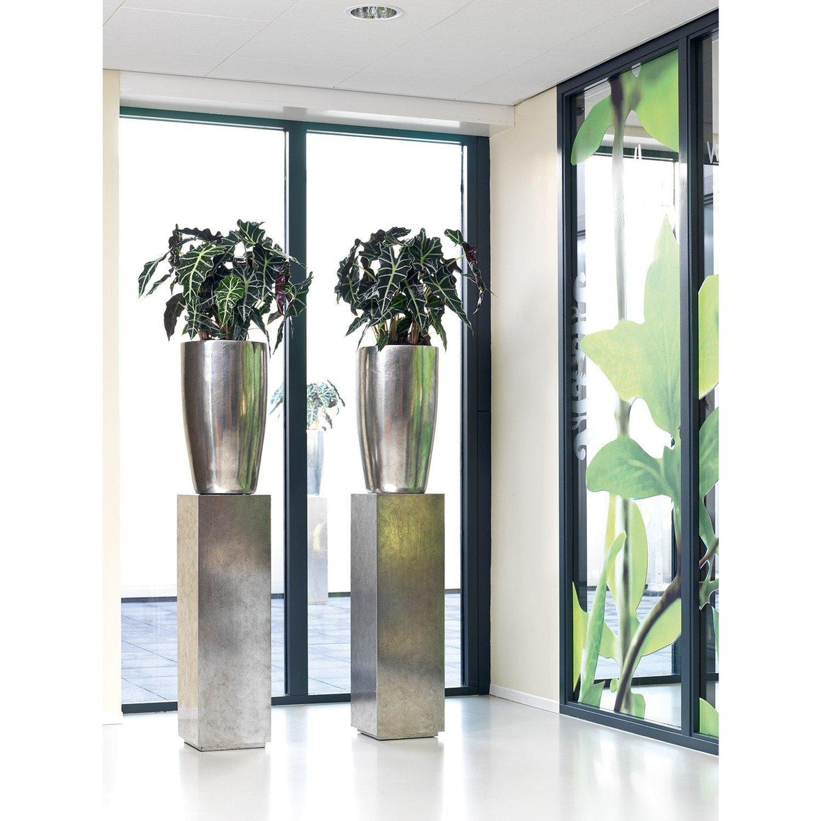silver plant stand indoor PANDORA planter, 35/60 cm, silver leaf – Kingplanters