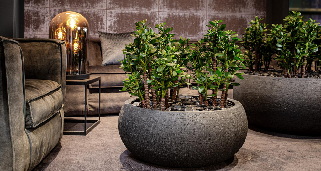 Artificial plants - The "real" alternative.