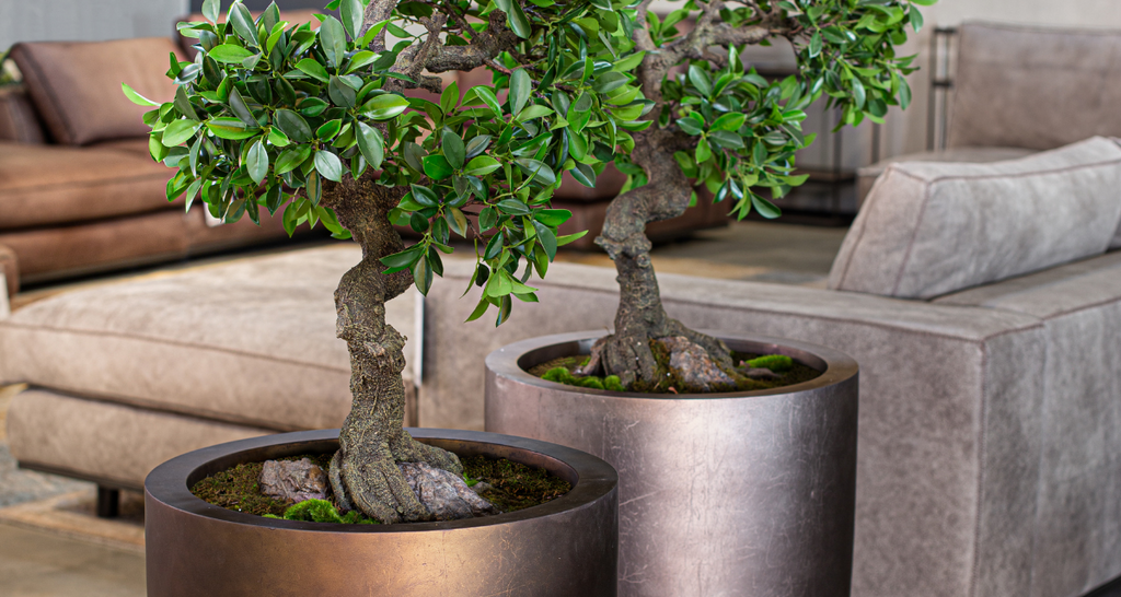 Qualitative differences in artificial flowers and plants