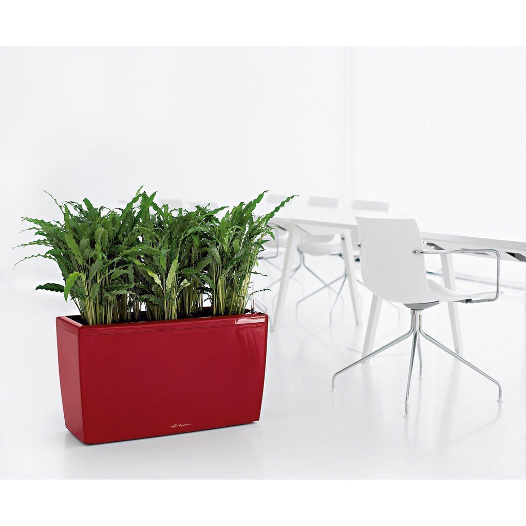 Set divisorio CARARO, 75x30/43 cm, rosso scarlatto