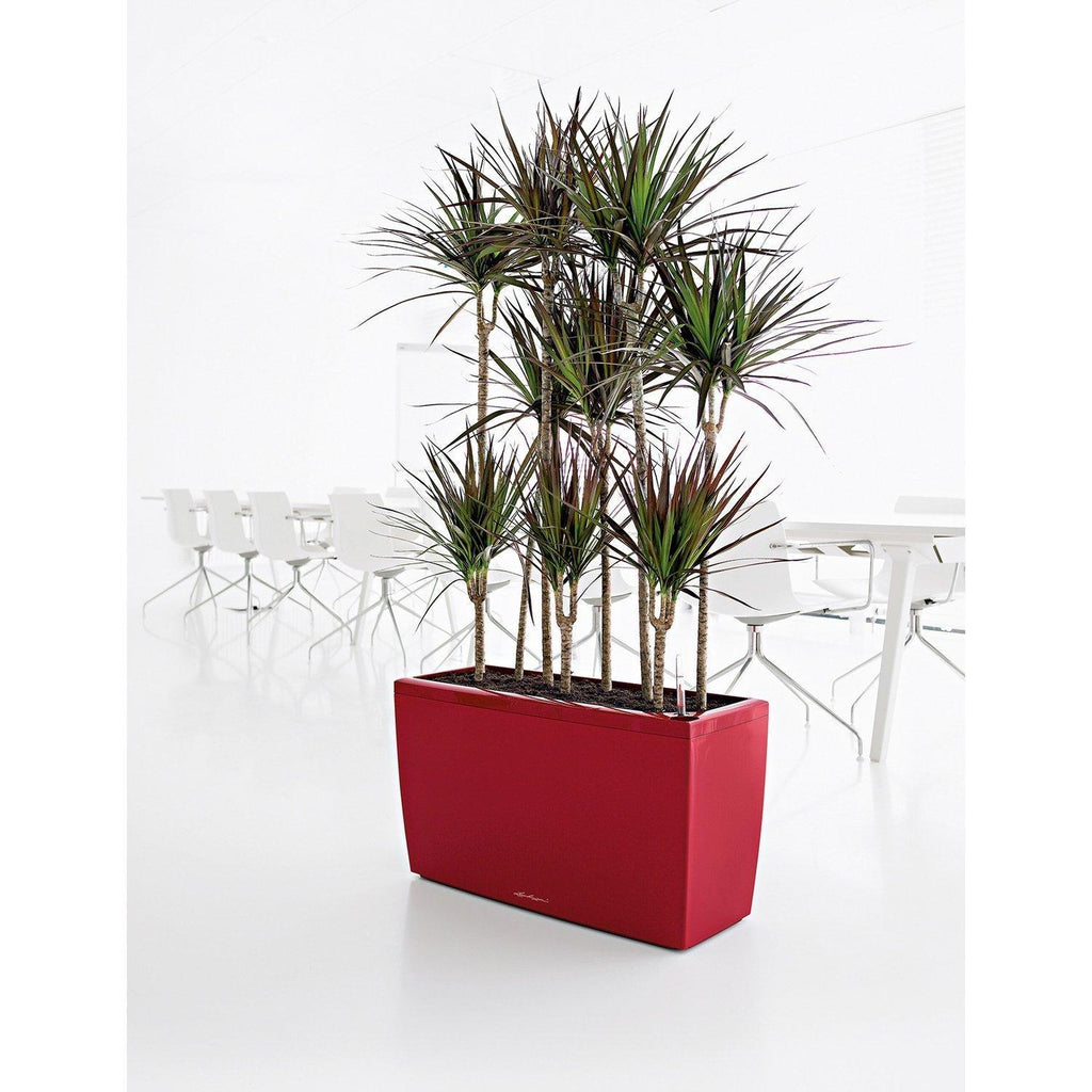 Set divisorio CARARO, 75x30/43 cm, rosso scarlatto