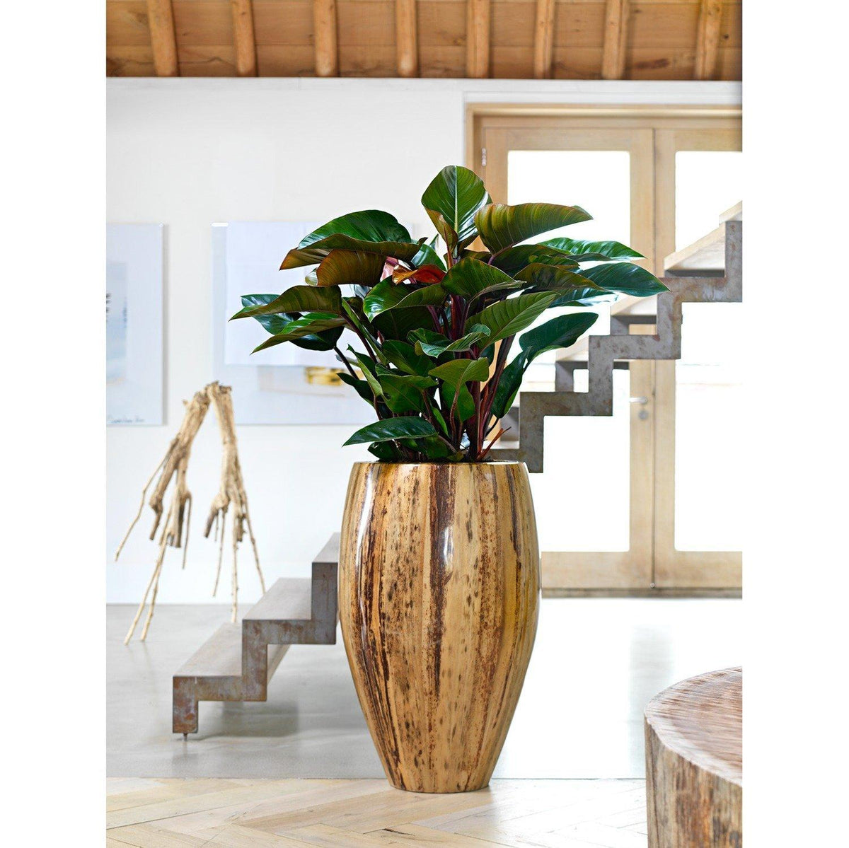 large pot for banana plant NATURA BANANA planter, 48/90 cm, banana bark – Kingplanters