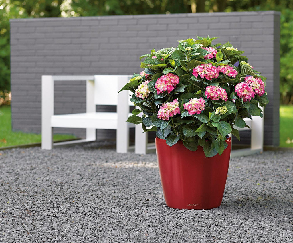 CLASSICO plantekasse, 28/26 cm, skarlagenrød