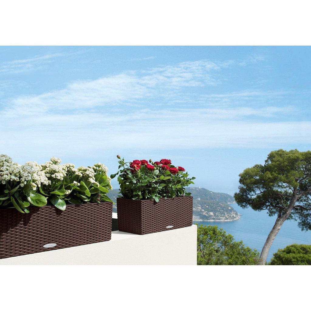 BALCONERA COTTAGE balcony flower box set, 50x19/19 cm, mocha