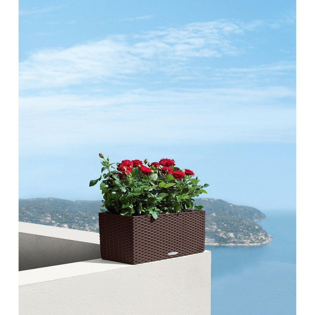 BALCONERA COTTAGE balcony flower box set, 50x19/19 cm, mocha