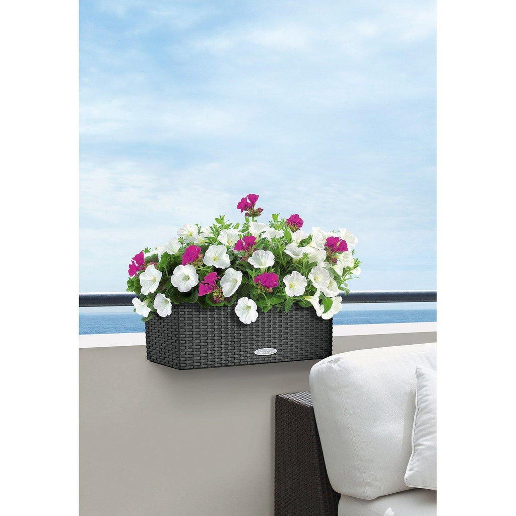 BALCONERA COTTAGE balkong blomsterlåda set, 50x19/19 cm, ganit