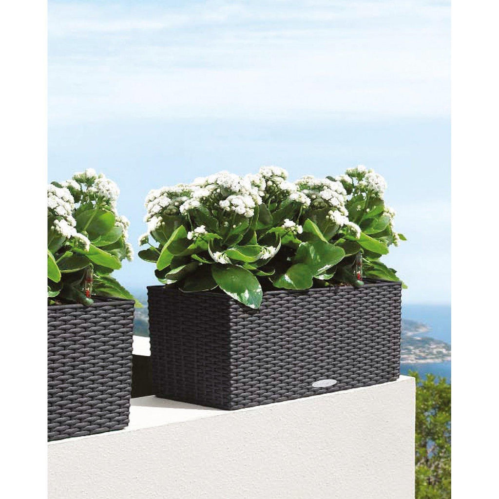 BALCONERA COTTAGE balkong blomsterlåda set, 50x19/19 cm, ganit