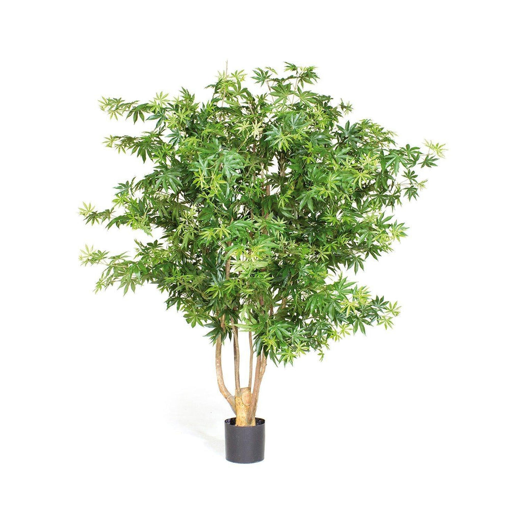 MAPLE DELUXE  150 cm, green