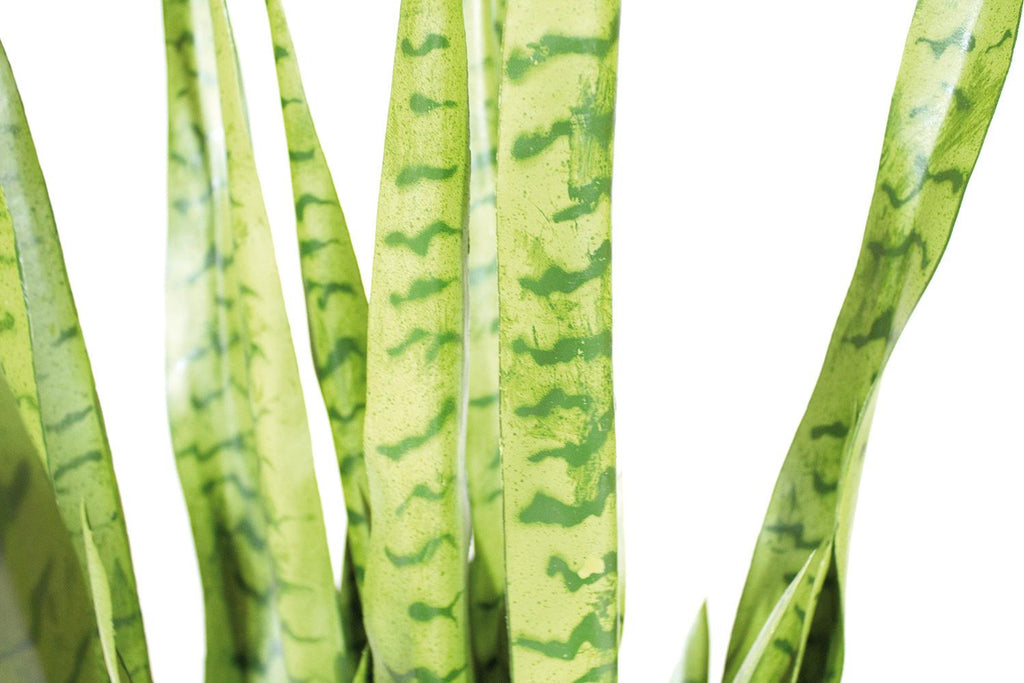 SANSEVIERIA EXTRA konstgjord växt, 100 cm