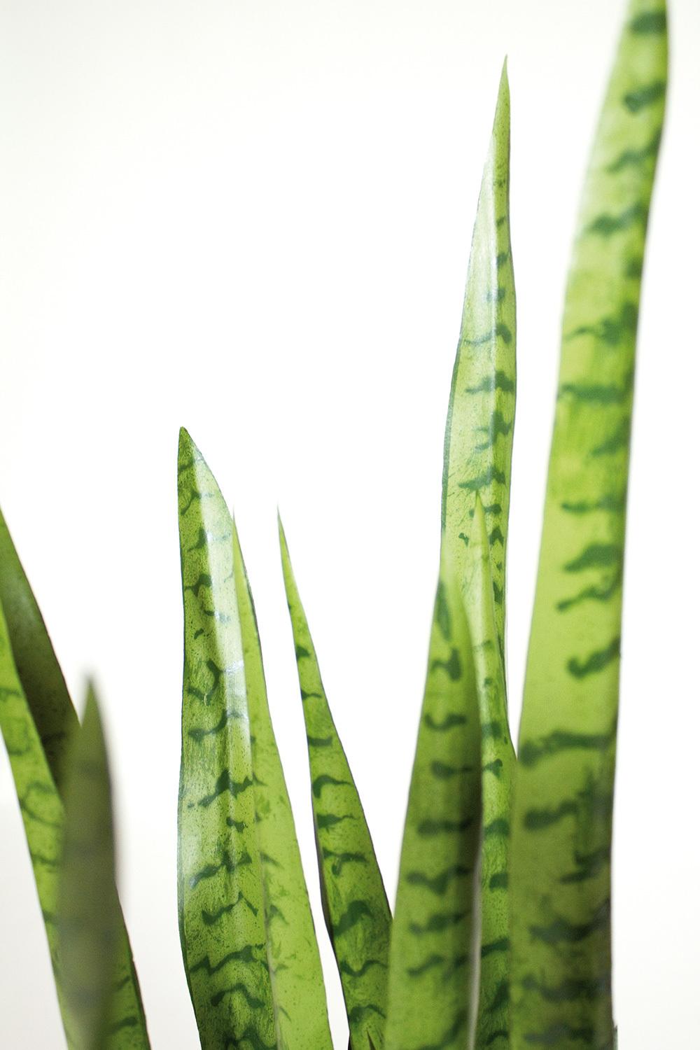 SANSEVIERIA EXTRA kunstig plante, 100 cm