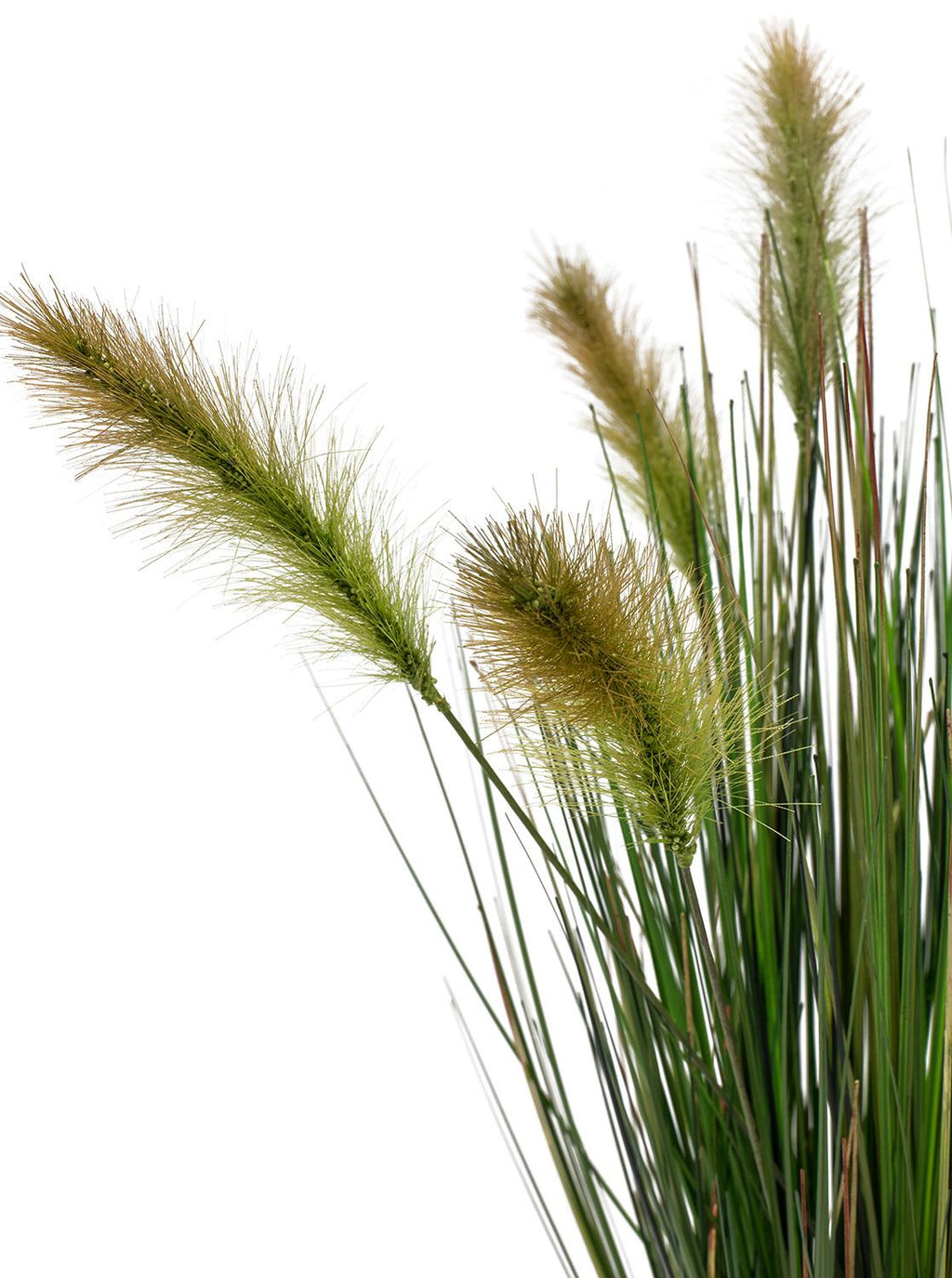 RÆVEHALE GRAS, 90 cm
