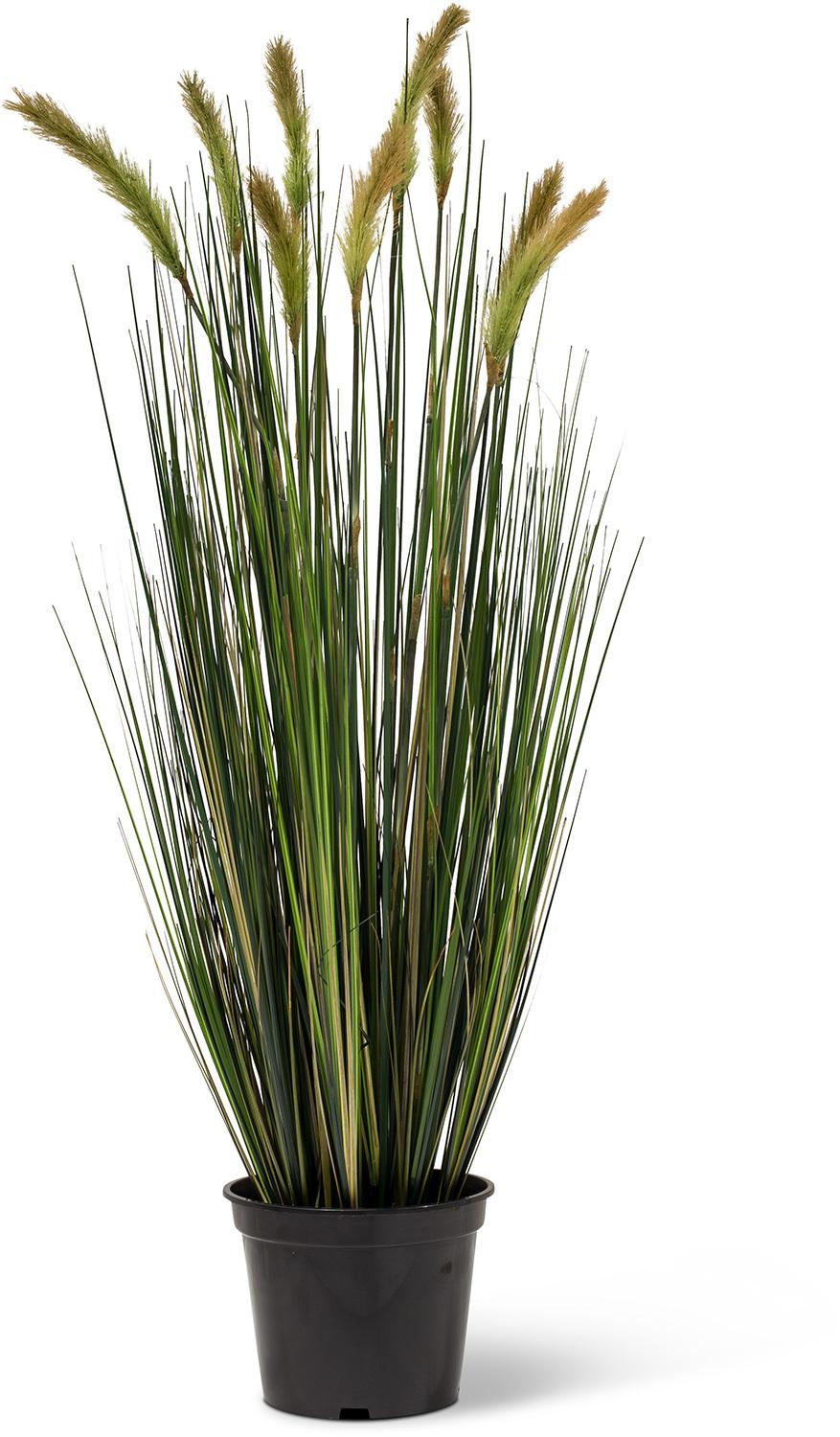 RÆVEHALE GRAS, 90 cm