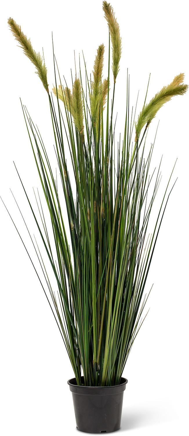 RÆVEHALE GRAS, 120 cm