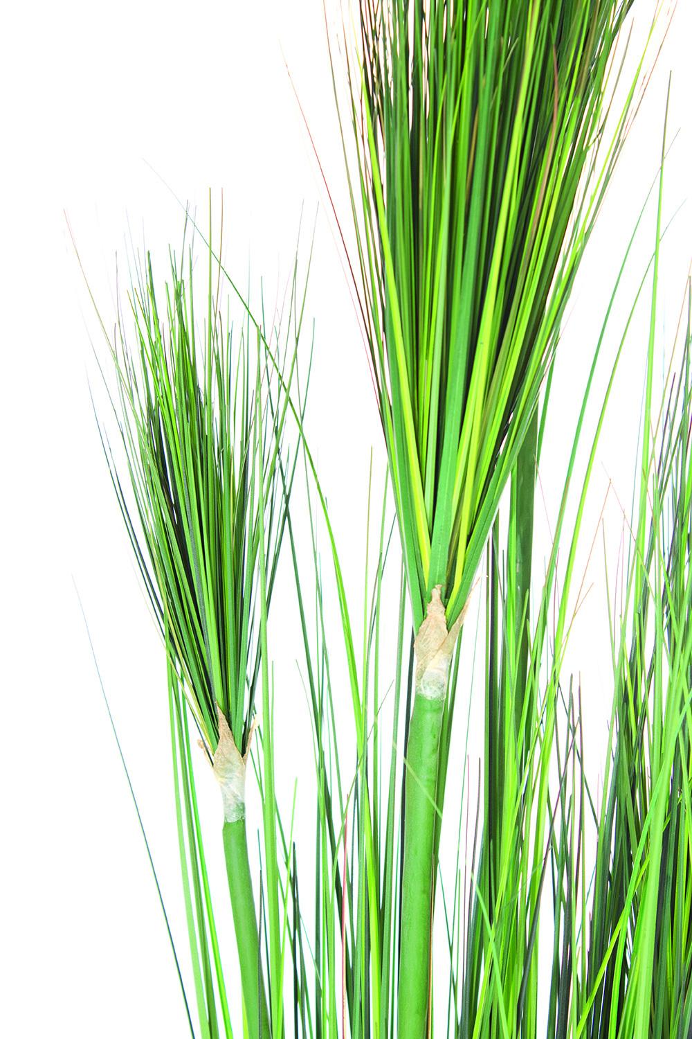 ONION GRASS 152 cm, green