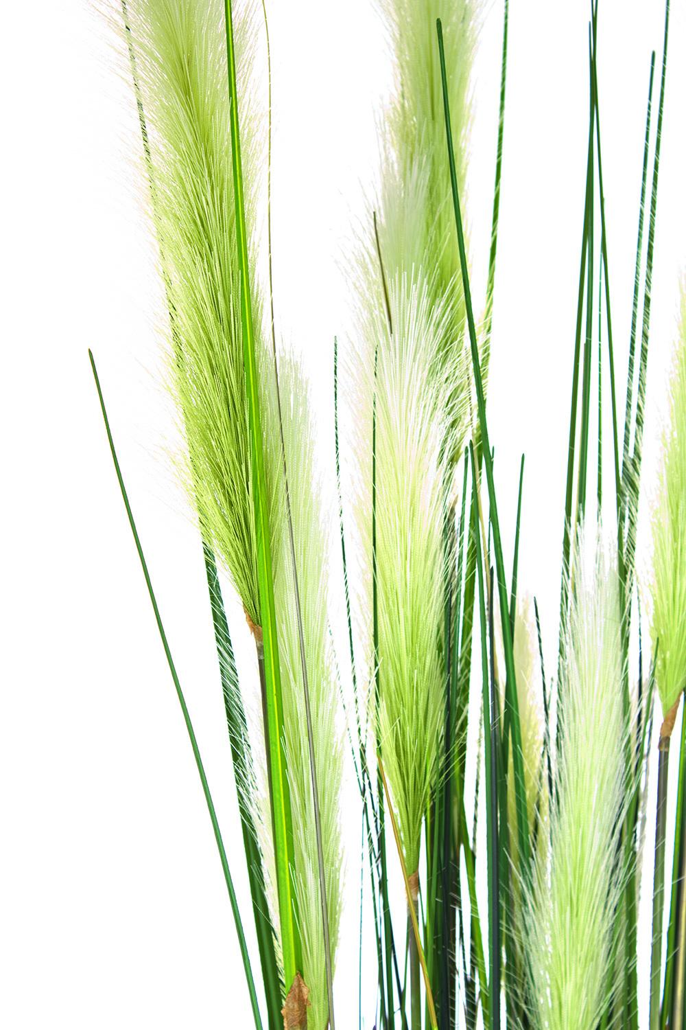 CATTTAIL (TYPHA), 122 cm