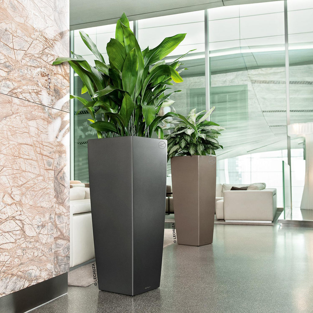 CUBICO ALTO planter, 40x40/105 cm, anthracite