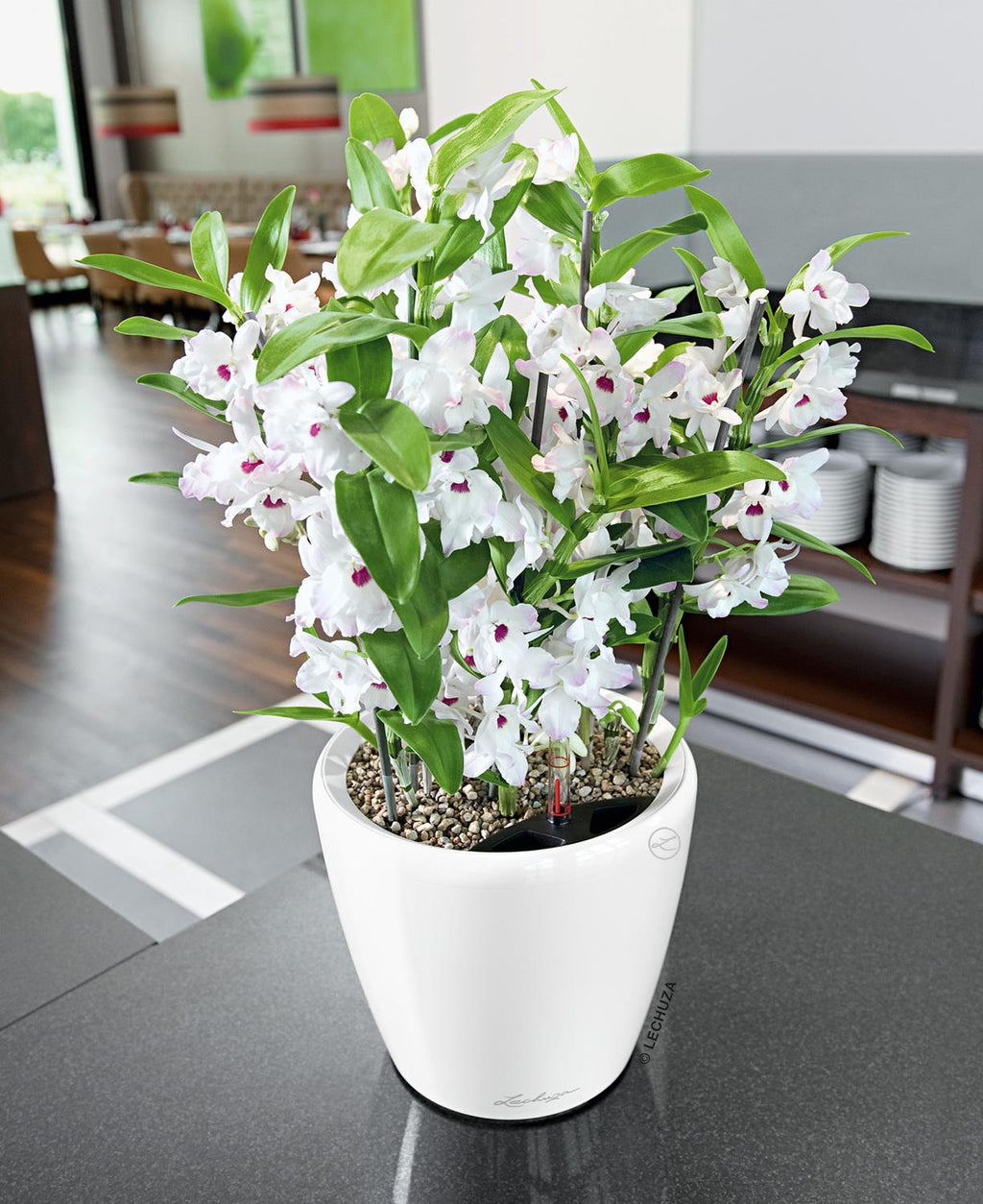 CLASSICO LS planter, 21/20 cm, white