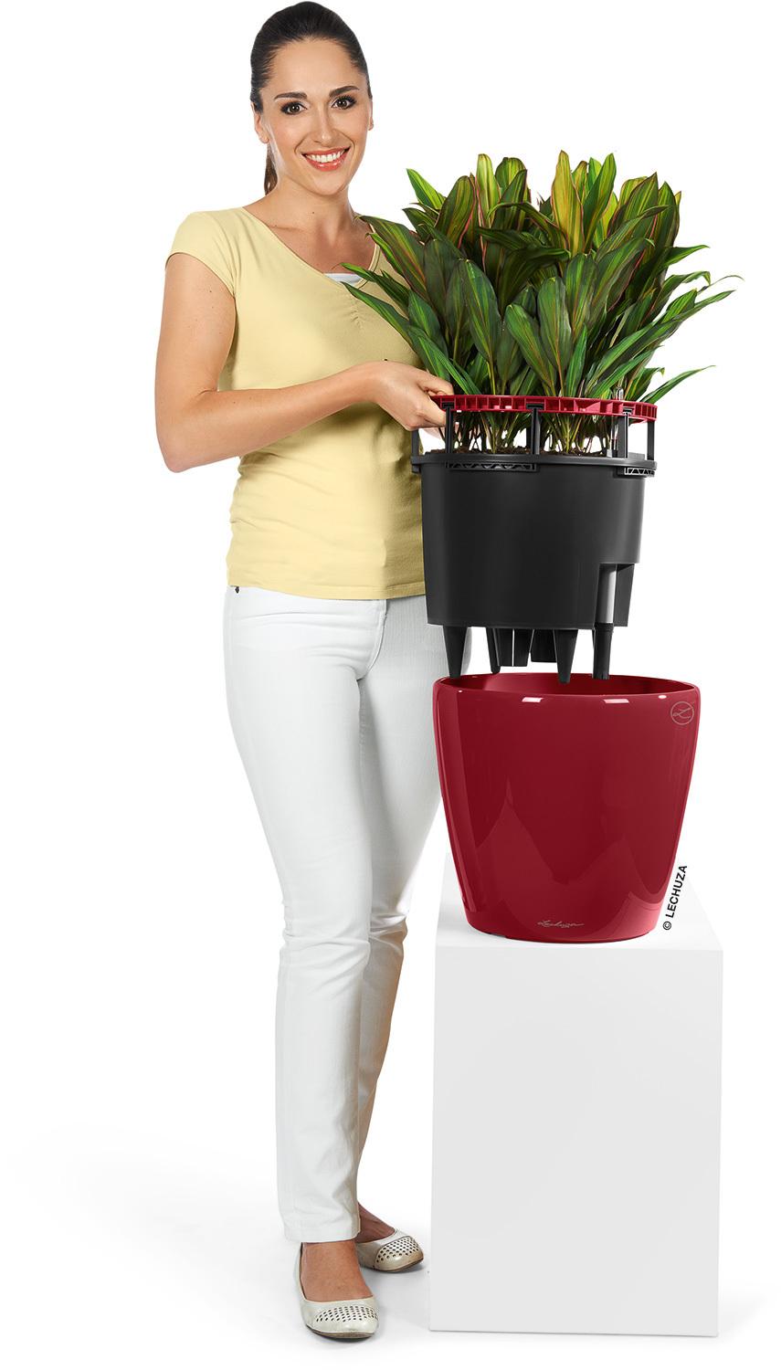 CLASSICO LS planter, 35/33 cm, scarlet red