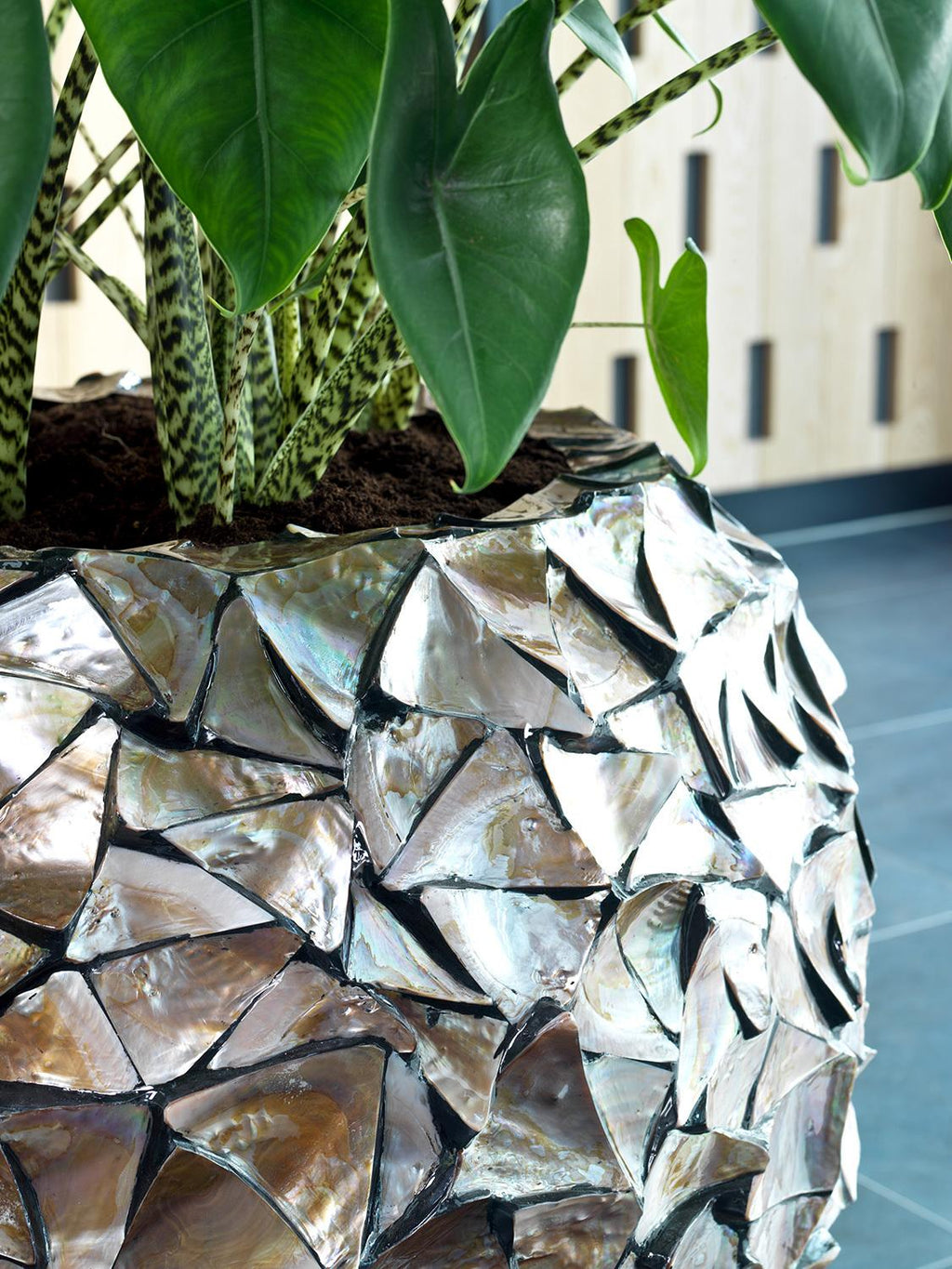 SHELL planter, 74/80 cm, brown mother of pearl