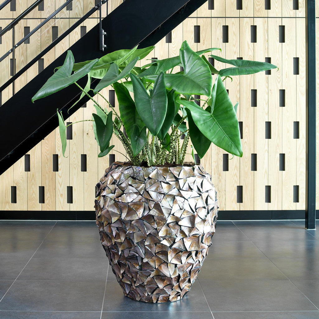 SHELL planter, 74/80 cm, brown mother of pearl