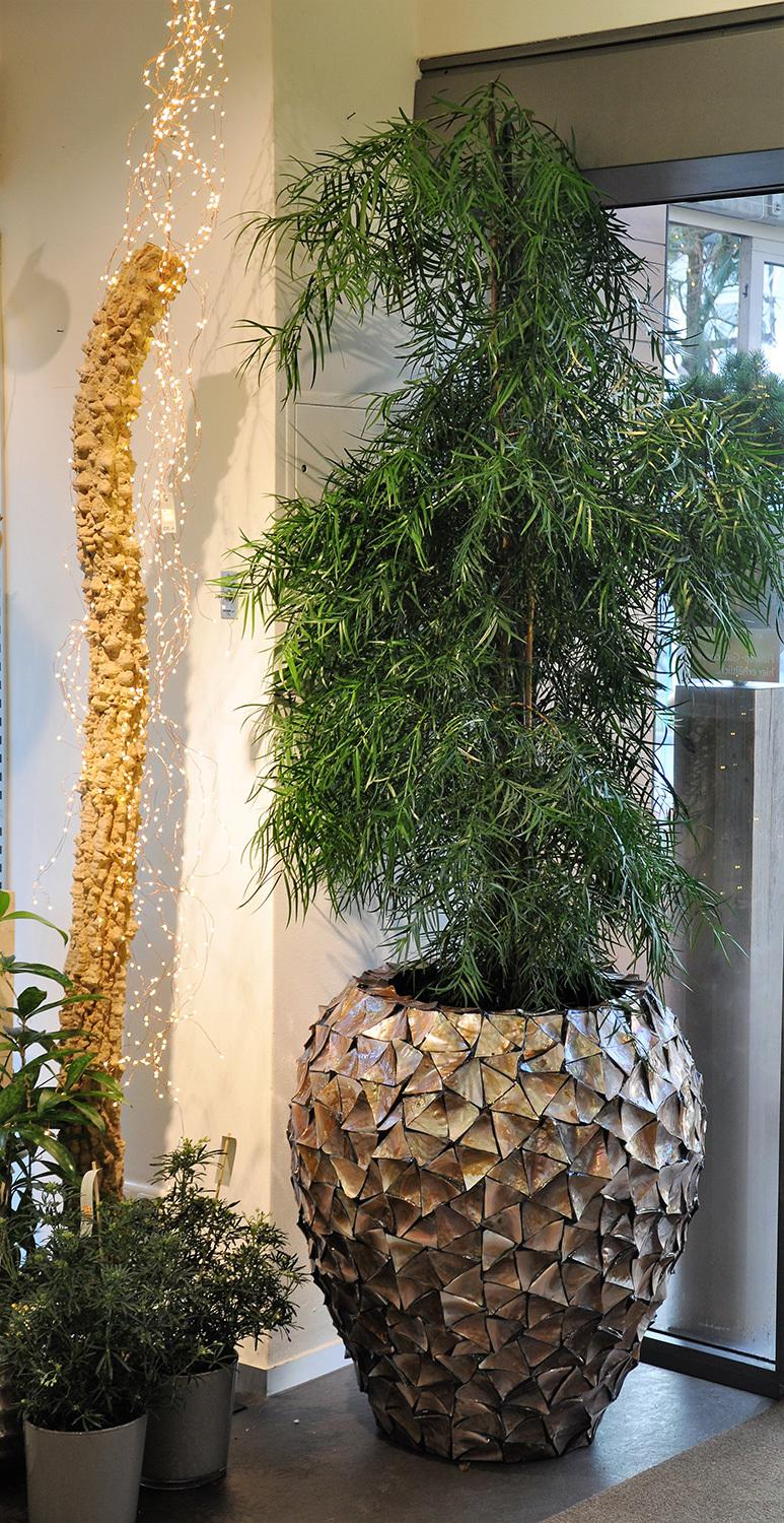 SHELL planter, 74/80 cm, brown mother of pearl
