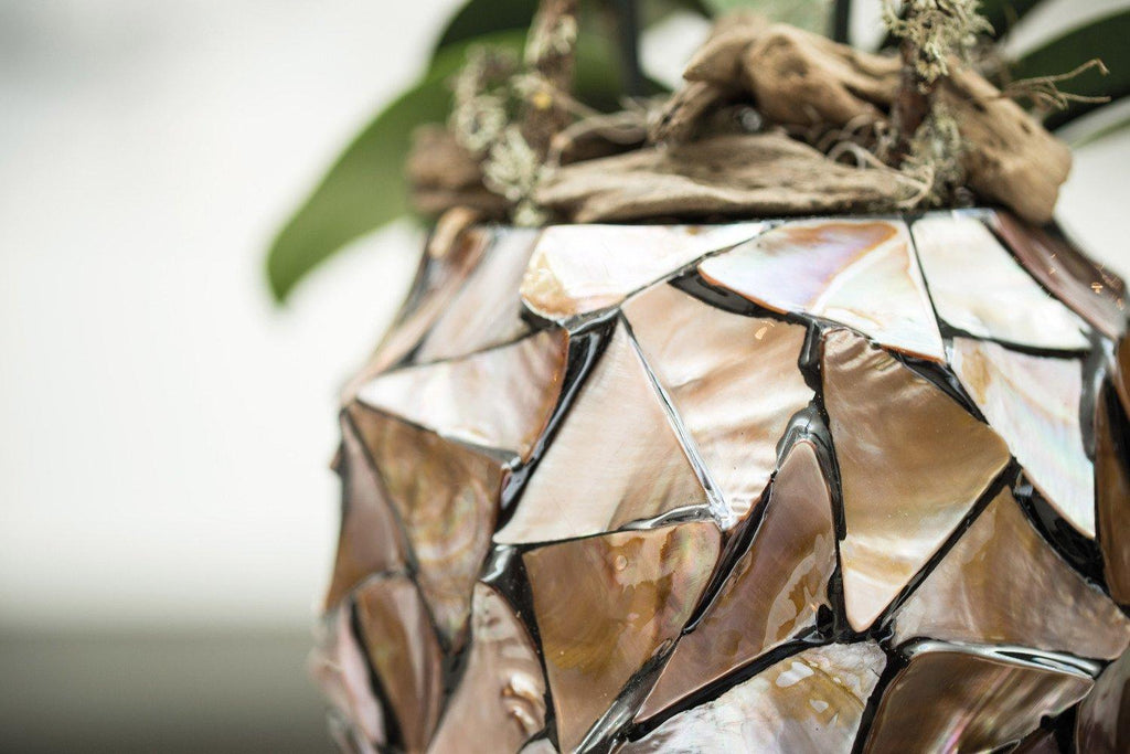 SHELL orchid planter, 17/24 cm, brown mother of pearl
