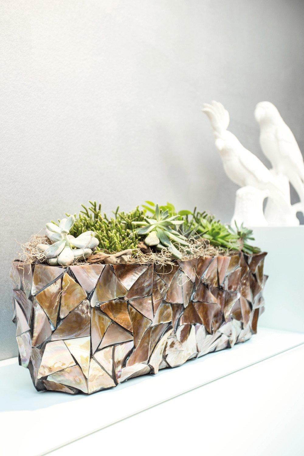 SHELL table top planter, 60x15/18 cm, brown mother of pearl