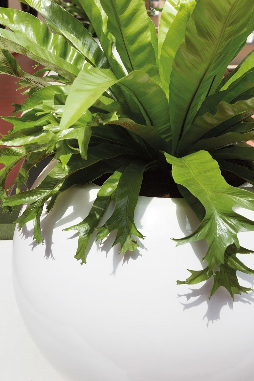 PREMIUM GLOBE planter, 60/45 cm, white