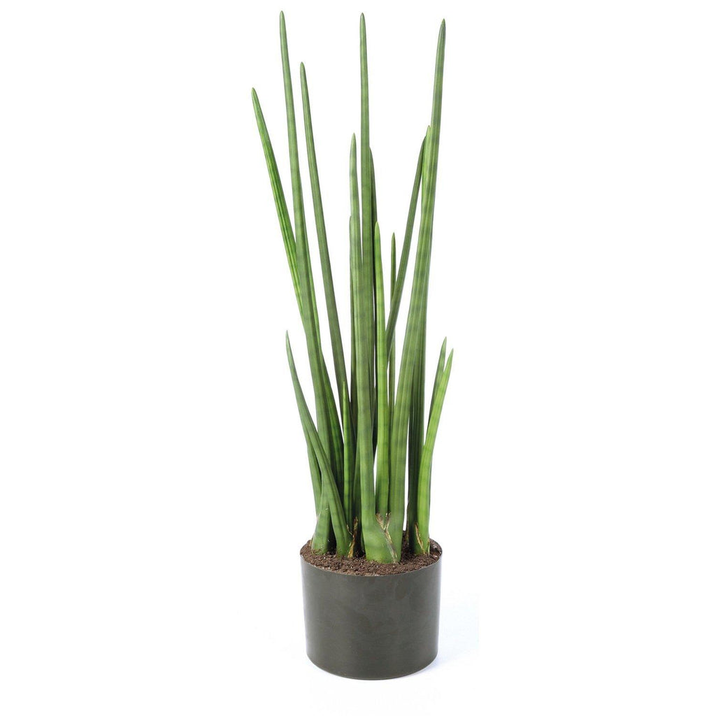 SANSEVIERIA CYLINDRICA kunstig plante, 100 cm