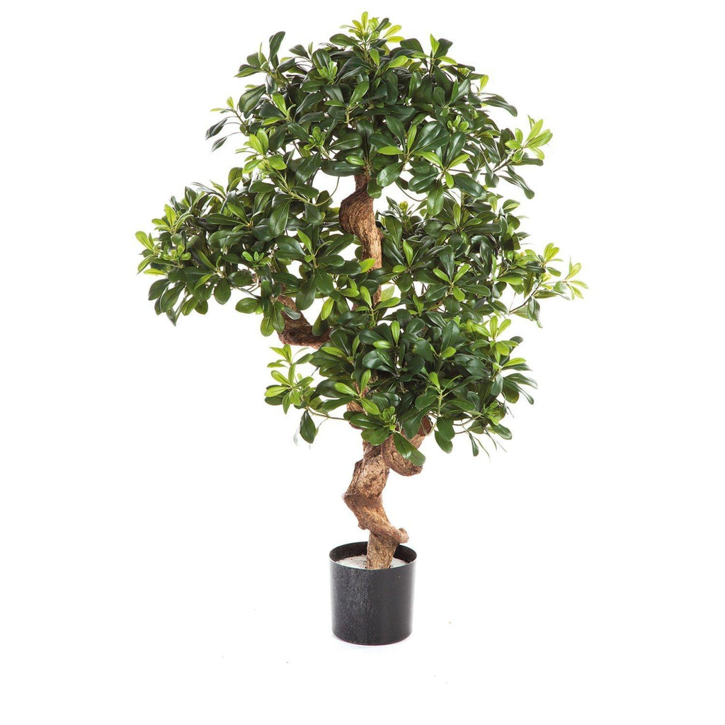 PITTOSPORUM artificial plant, 120 cm