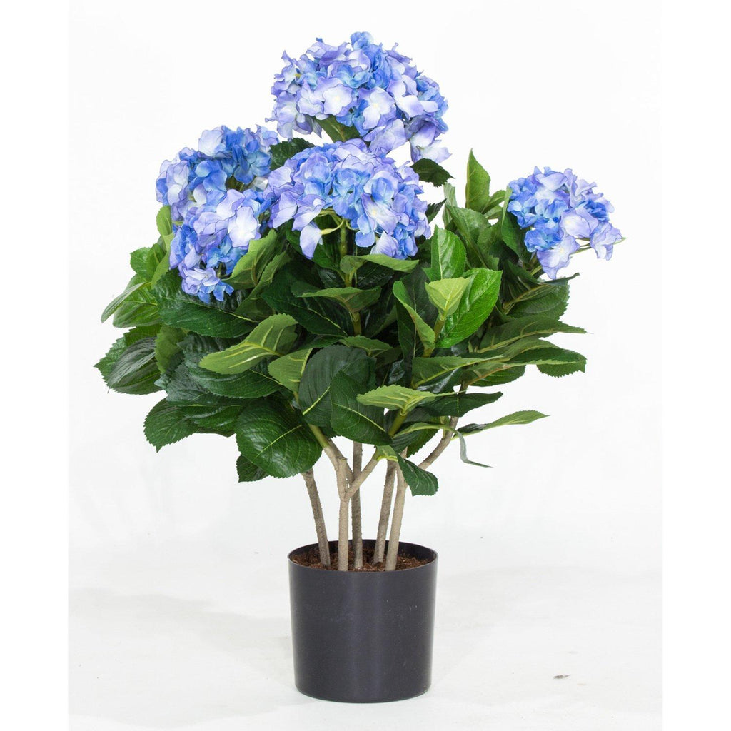 HYDRANGEA, 53 cm, blue