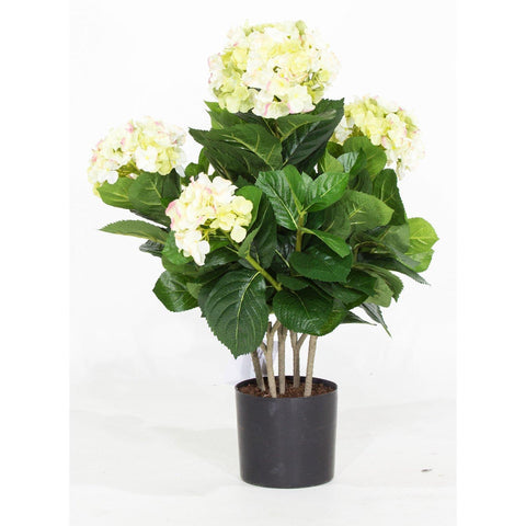 HYDRANGEA, 53 cm, creme