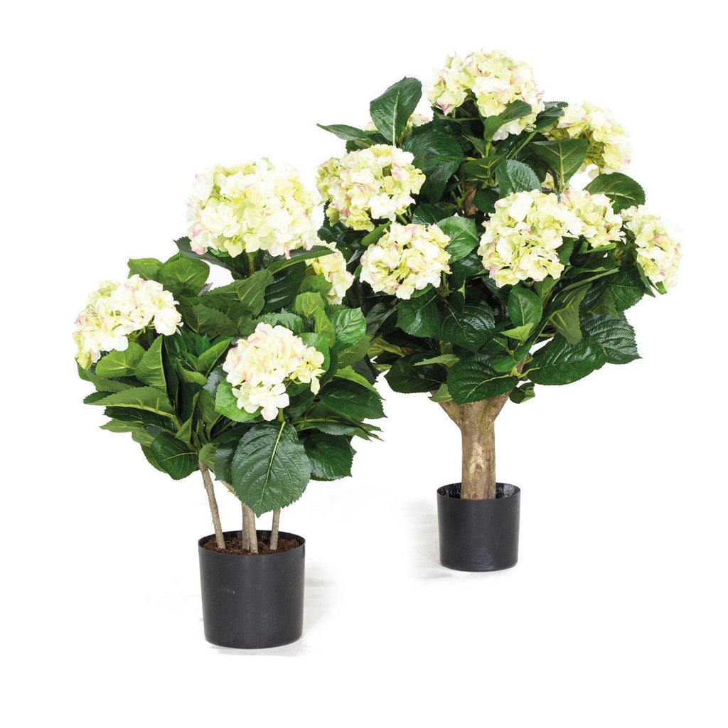 HYDRANGEA, 53 cm, creme