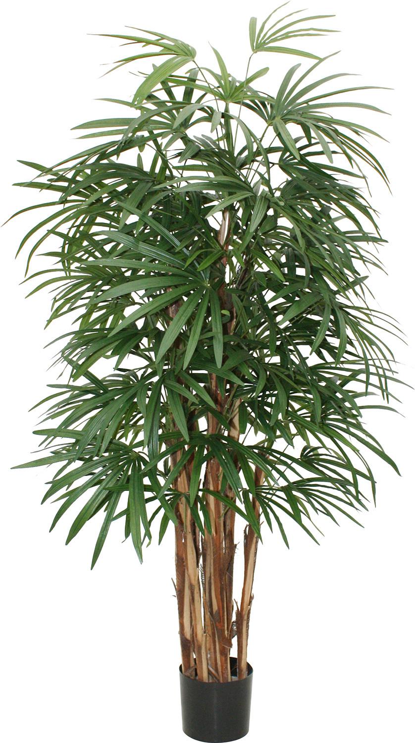 RHAPIS DELUXE konstgjord växt, 160 cm