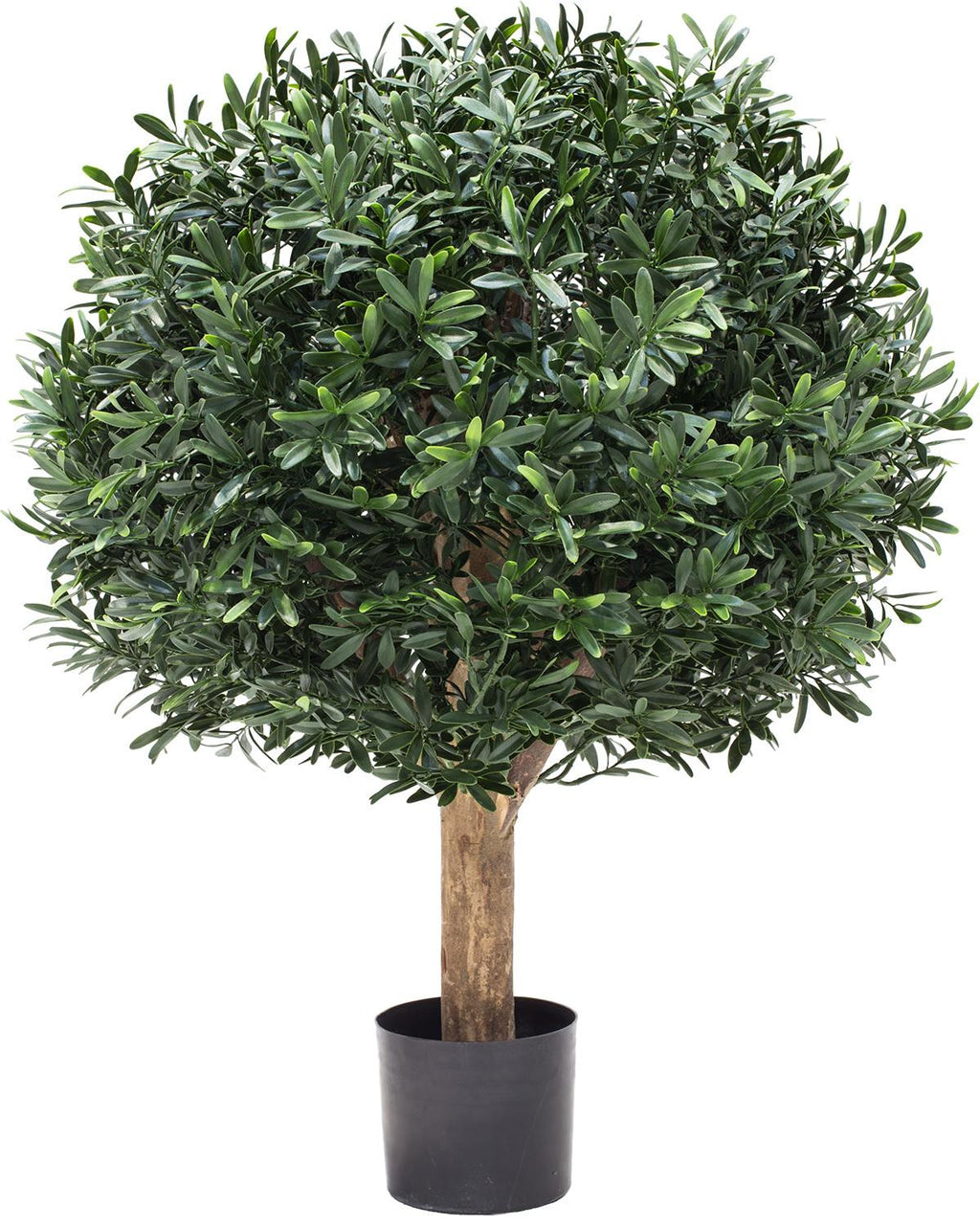 PALLA ILEX, 50 cm