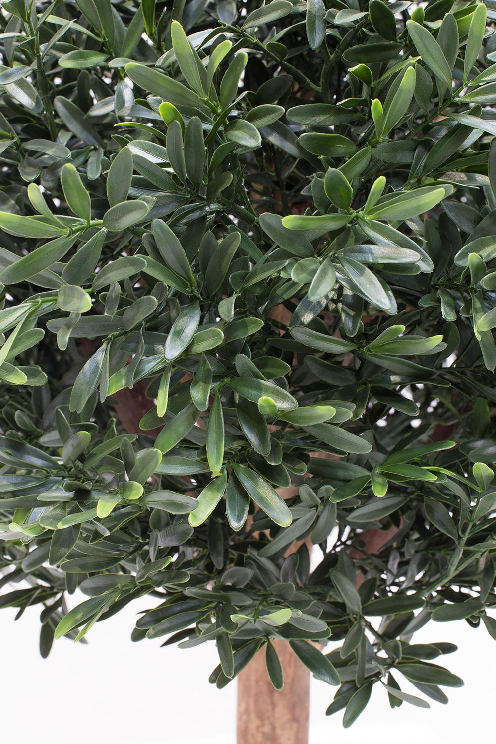 PALLA ILEX, 50 cm