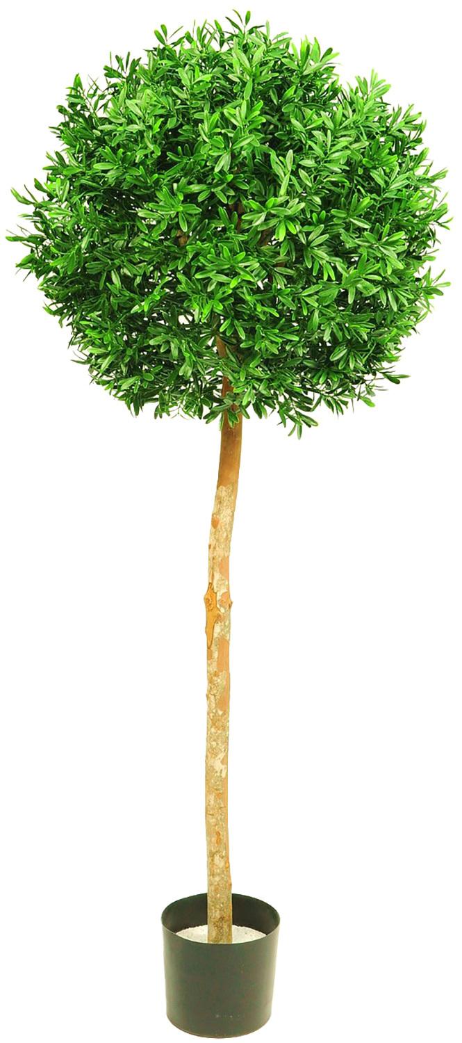 ILEX TREE, 135 cm, UV-resistant