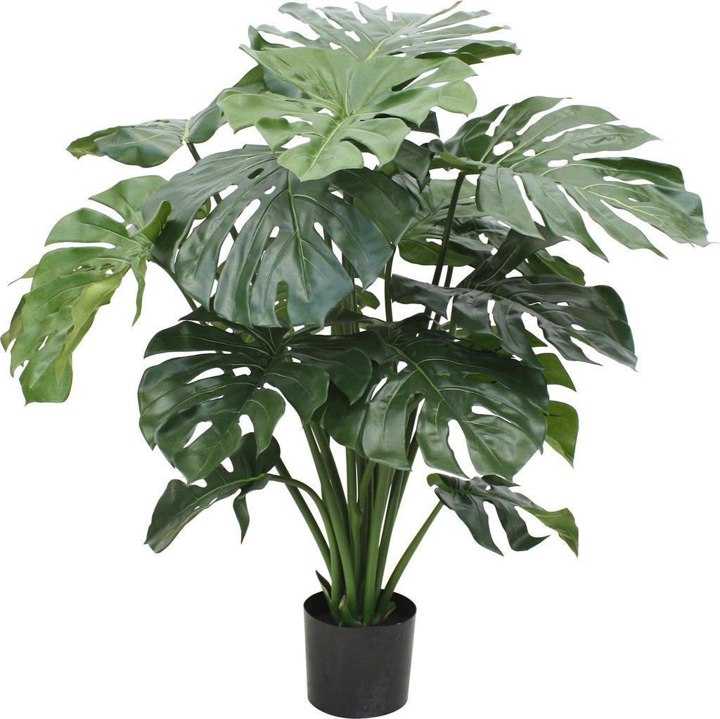 MONSTERA DELUXE  100 cm