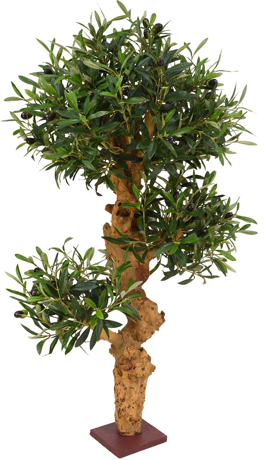 OLIVTRÄD BONSAI 90 cm