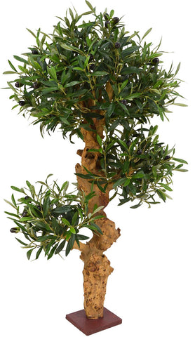 OLIVE TREE BONSAI  90 cm