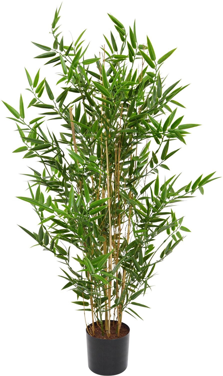 JAPANESE BAMBOO, 90 cm, UV-resistant