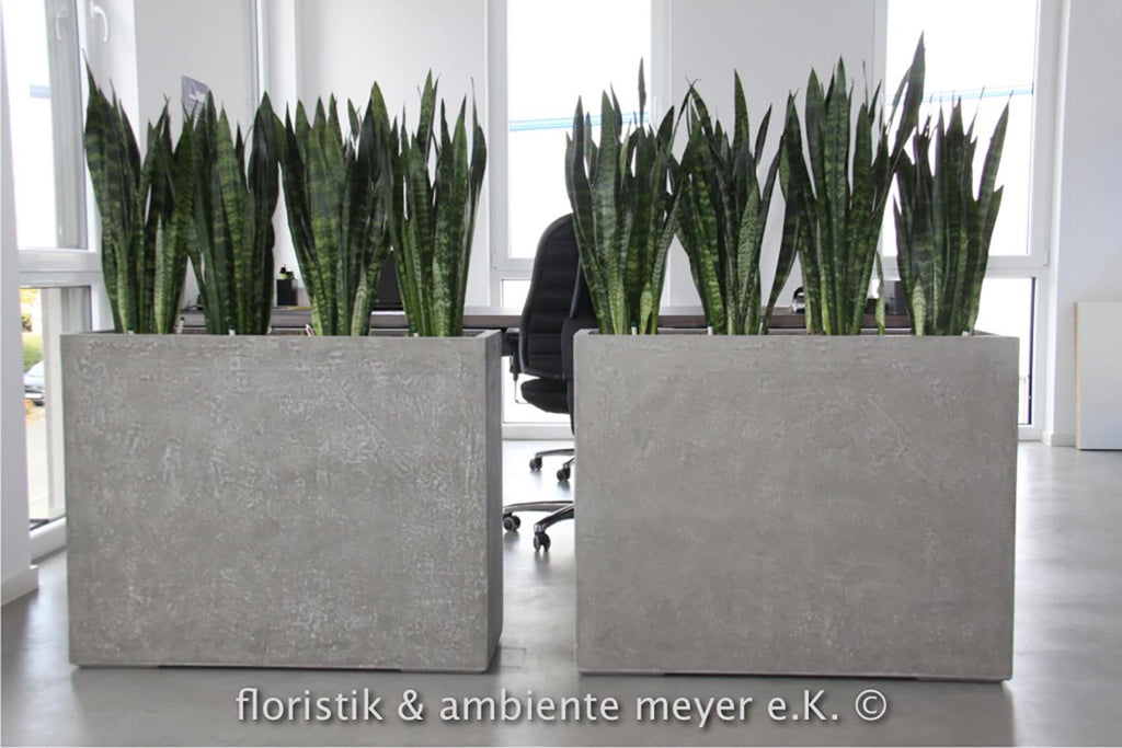 DIVISION PLUS room divider, 100x35/80 cm, natural-concrete