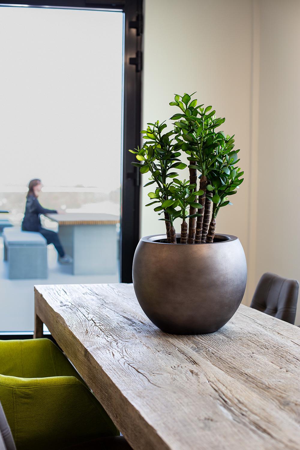 ROYAL plantekasse, 30/24 cm, titangrå