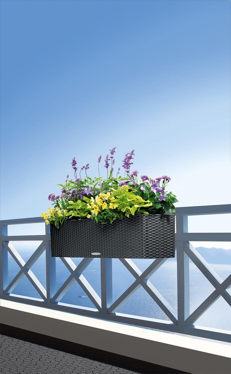 BALCONERA COTTAGE Balkonkasten-Set, 80x19/19 cm, Ganite