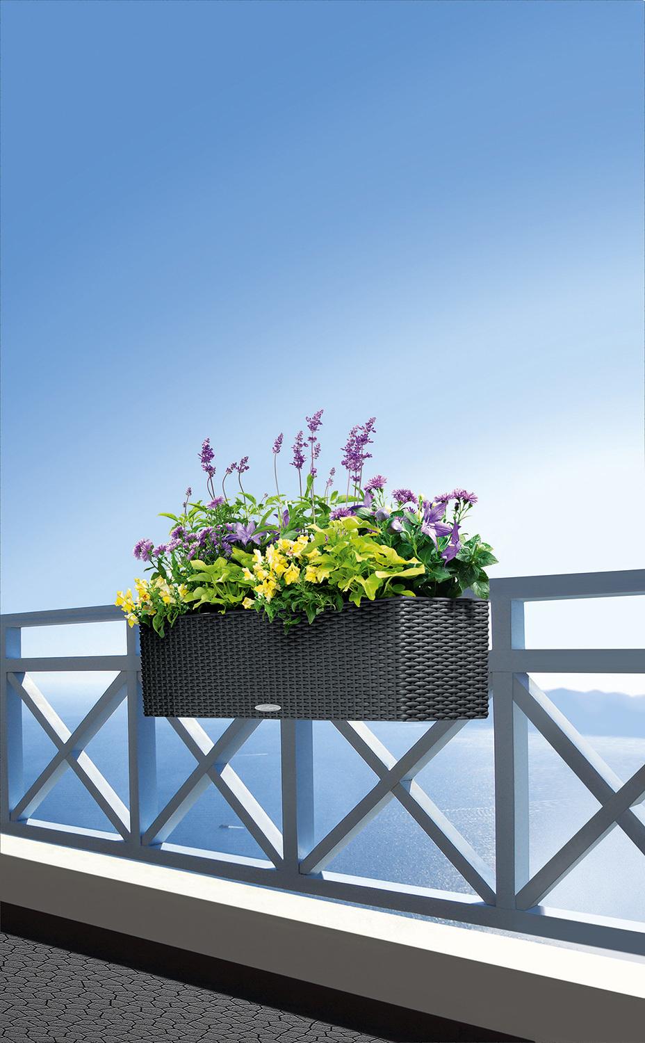 BALCONERA COTTAGE balcony flower box set, 80x19/19 cm, ganite