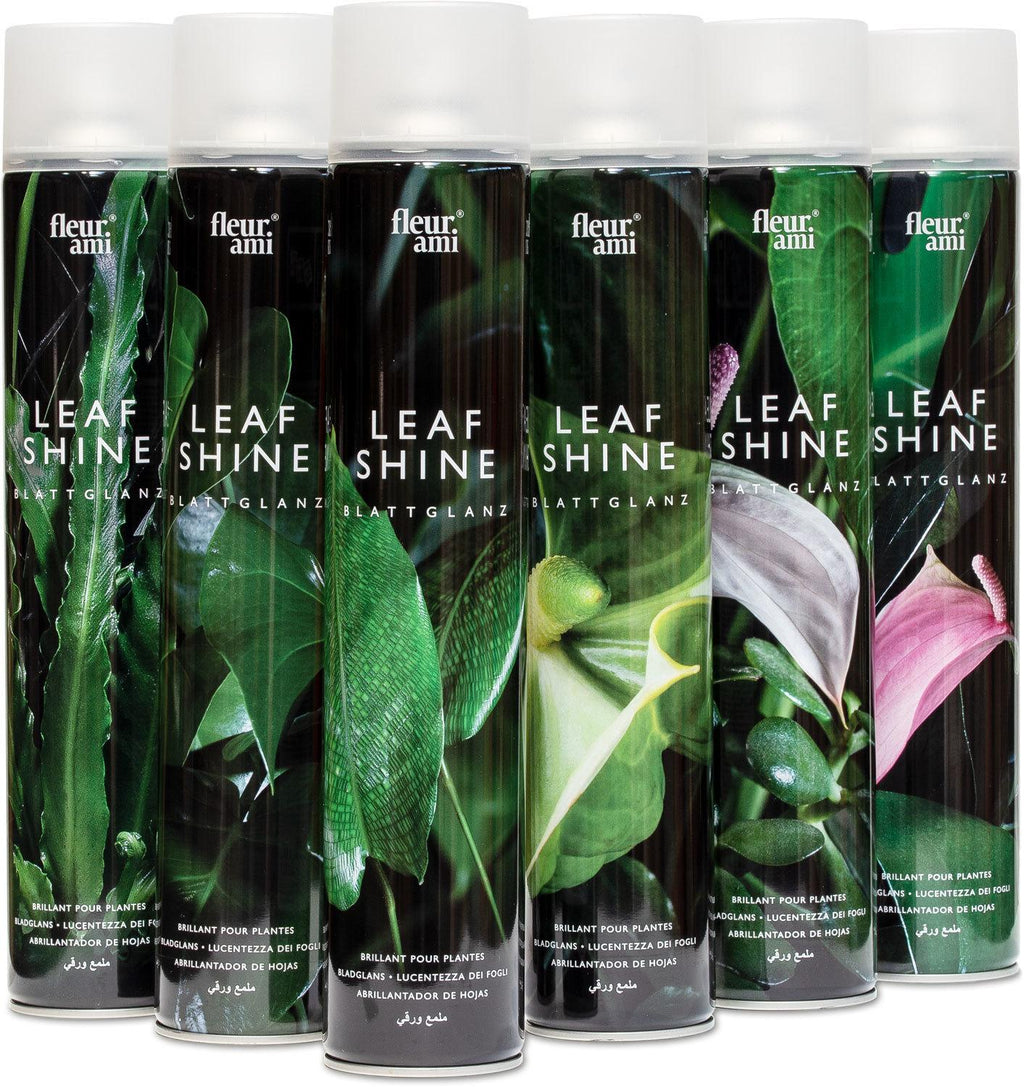 fleur ami Blattglanz, 750 ml